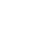 LVNSYSTEM PL logo