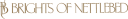 Brights of Nettlebed UK logo