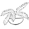 fern logo