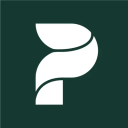 Perenne logo
