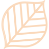 Raja Homewares logo