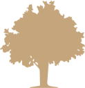 kurkwinkel24 NL logo
