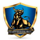Marvellesures logo