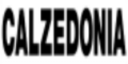 Calzedonia logo