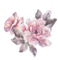 LoveShackFancy logo