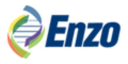 Enzo logo