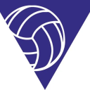VOLLEYBALL MARKET logo