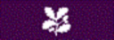 National Trust Holidays logo