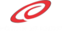 Power Blendz logo