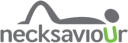 necksaviour logo