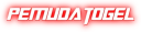 Analan logo