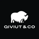 Qiviut & Co logo