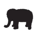 Elephant Academy General logo