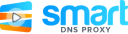 Smart DNS Proxy logo