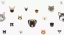 Yappy logo