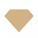 Diamond Nexus logo