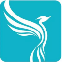 Your Company Formations logo