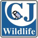 BirdFood logo
