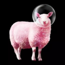 Pink Sheep Wellness logo