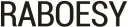Raboesy logo