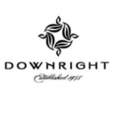 Downright logo