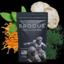 Erodus logo