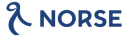 Norse Code logo