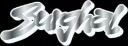 Burghal BVG logo