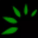 Olofly logo