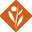 Environ Skincare logo