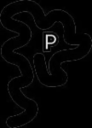 PLAGARY logo