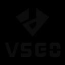 VSGO logo