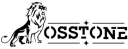 Osstone logo