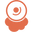 Dzees logo
