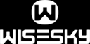 WISESKY logo