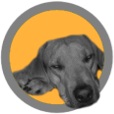 Zitzakkenstore NL logo