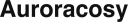 Auroracosy logo