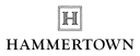 Hammertown logo