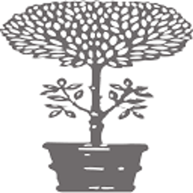 Shopjanusetcie