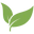 House Plant Paradise logo