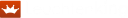 Leuchtenking.de logo