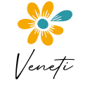 Veneti logo