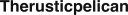 Therusticpelican logo