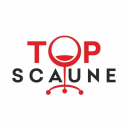 TOP SCAUNE logo