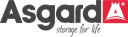 Asgardsss logo