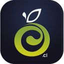 VerdeOlivo logo