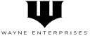 Brucewaynex logo