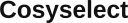 Cosyselect logo
