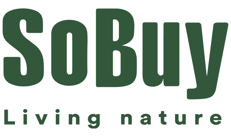 SoBuy