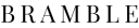 Brambleco logo